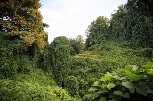 Géorgie Batoumi batumi jardin botanique adjarie végétation